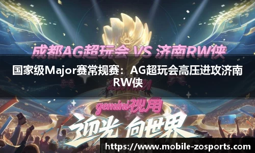 中欧体育公司